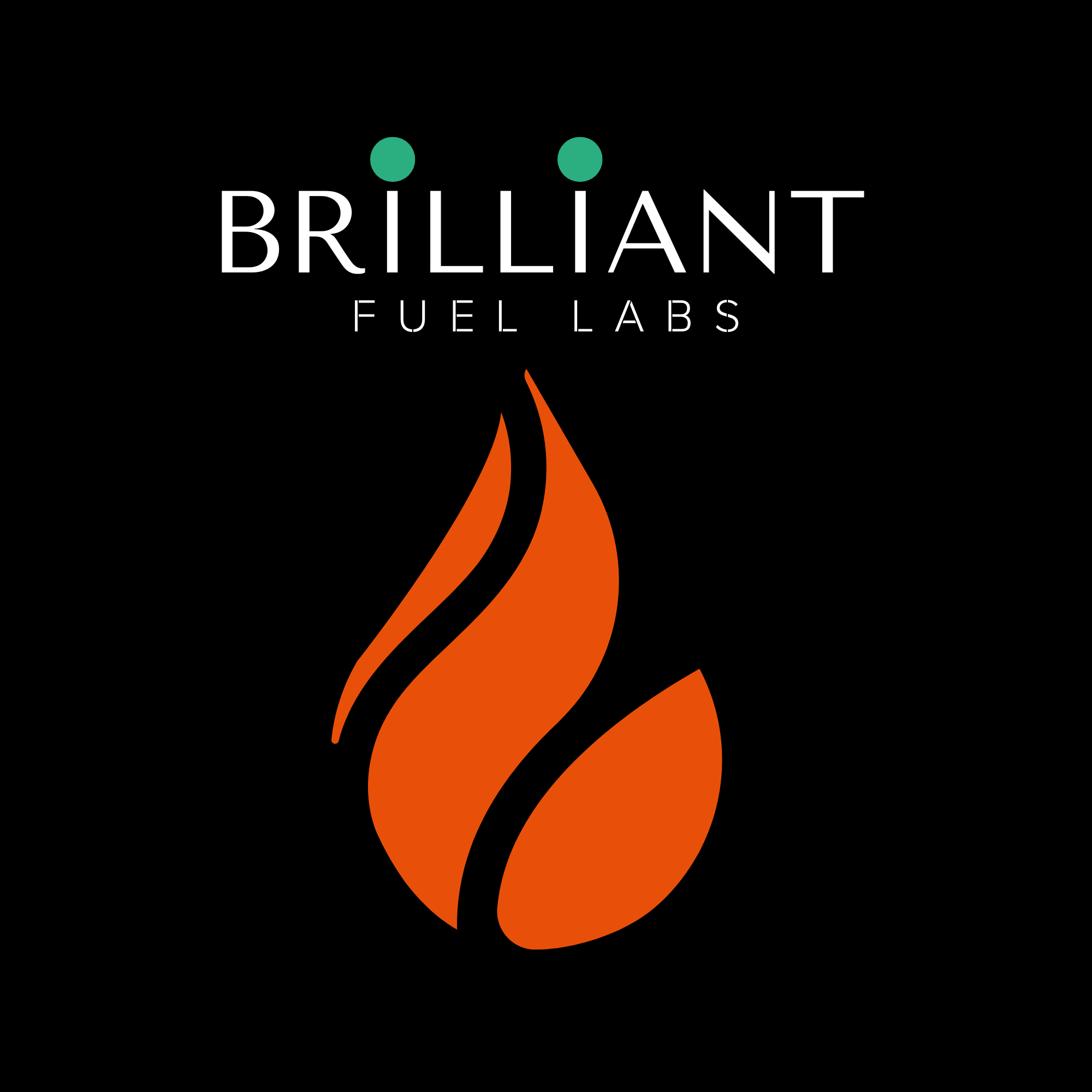brilliant fuel labs final